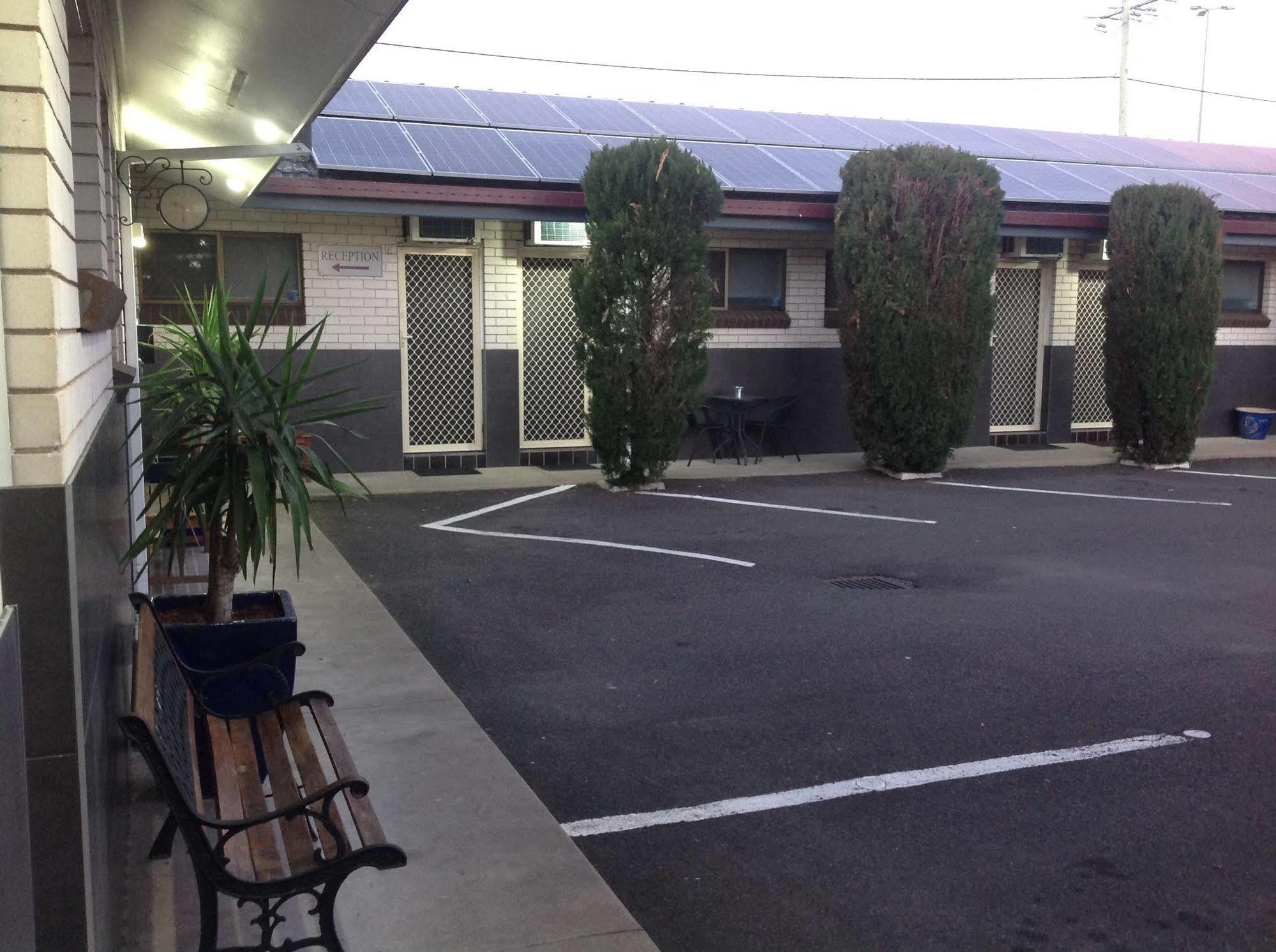 Tamworth Central Motel Ngoại thất bức ảnh